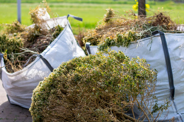 Best Basement Cleanout Services  in Saxonburg, PA